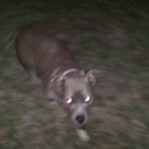 Meet your Posher, Scottie